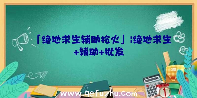 「绝地求生辅助枪火」|绝地求生+辅助+批发